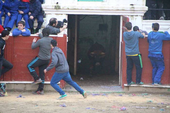 ostegun gizen 2015 zezenak 3 14 1423763598228