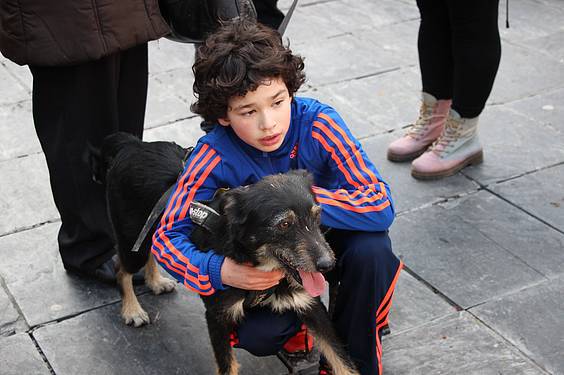 txakur krosa 3 2015 22 1422288900680