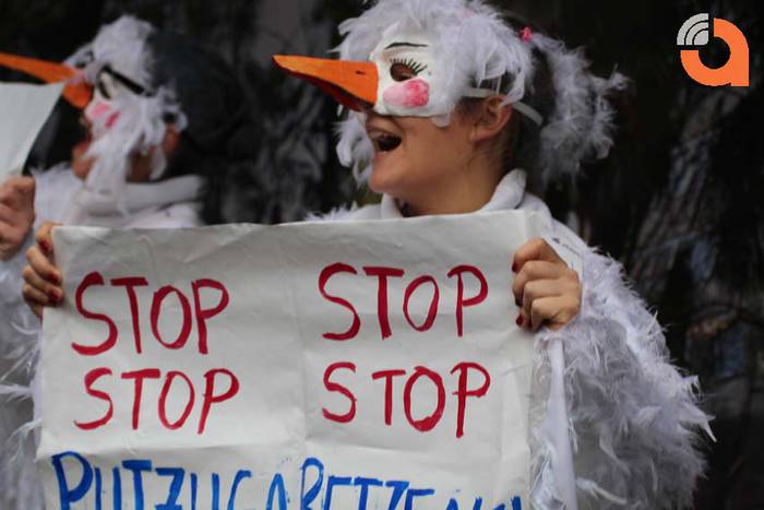 zaldunita inauteriak 2015 2 26 1424007963225