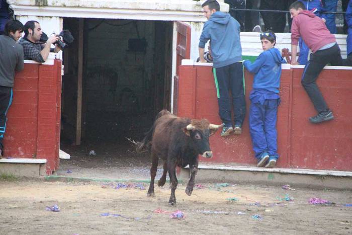 ostegun gizen 2015 zezenak 3 15 1423763599678