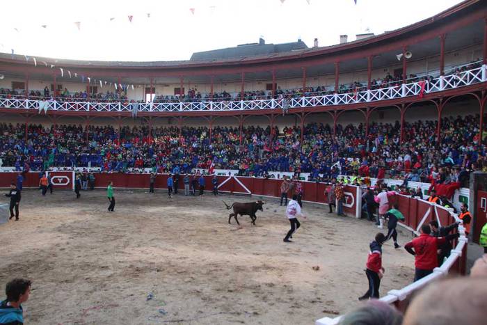 ostegun gizen 2015 zezenak 3 16 1423763600772