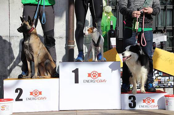 txakur krosa 3 2015 27 1422288903385