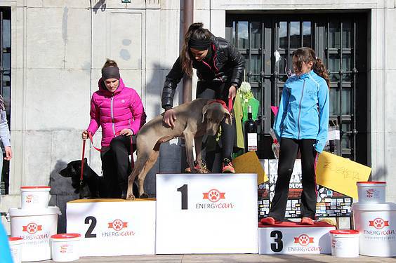 txakur krosa 3 2015 28 1422288903845