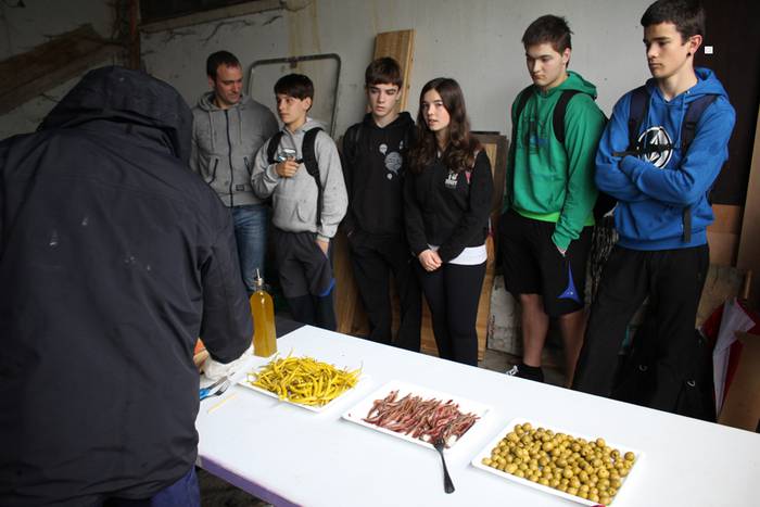 ibarrako piparra landaketa 2015 1 1431692610732