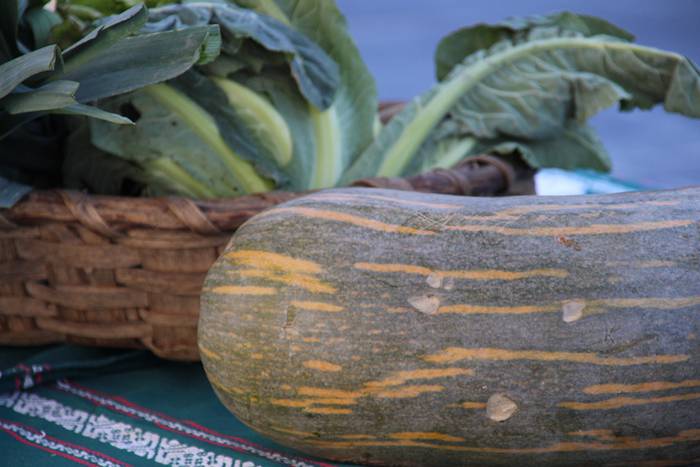 azoka solidarioa 1 1425726577468