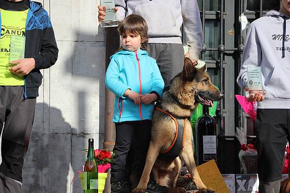 txakur krosa 3 2015 32 1422288906378