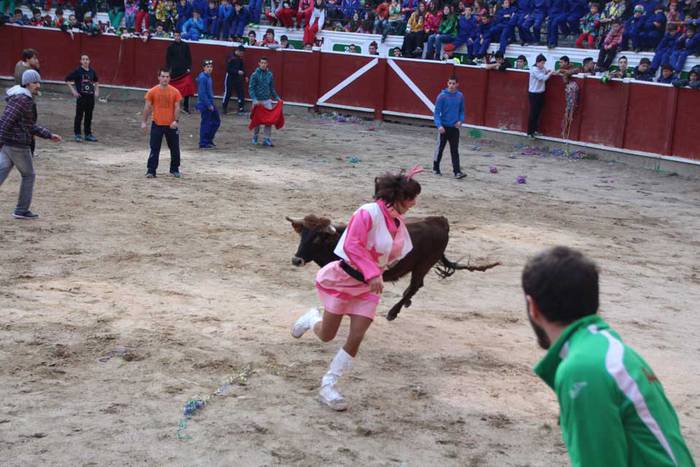 ostegun gizen 2015 zezenak 3 17 1423763601881