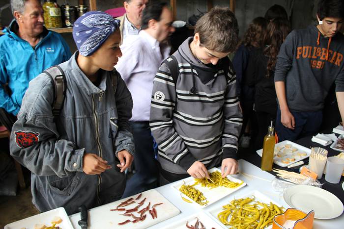 ibarrako piparra landaketa 2015 9 1431692622505