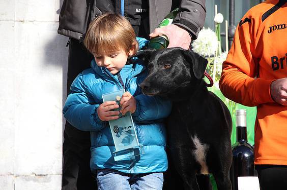 txakur krosa 3 2015 37 1422288909595