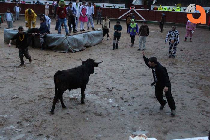 Pattar zezena 2015 24 1424193247300