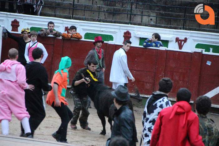 Pattar zezena 2015 26 1424193249579