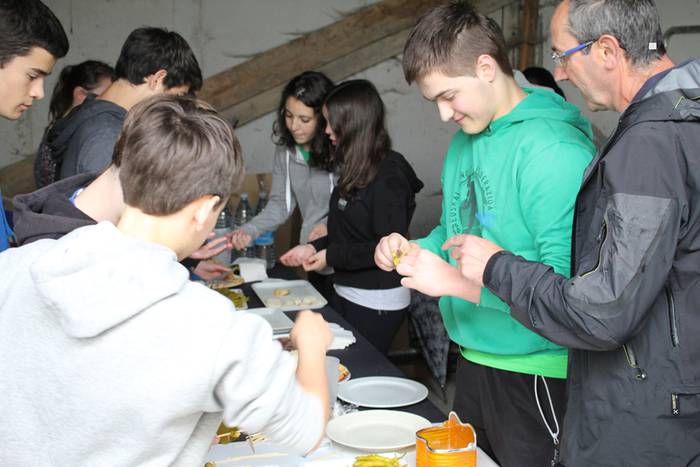 ibarrako piparra landaketa 2015 12 1431692626209