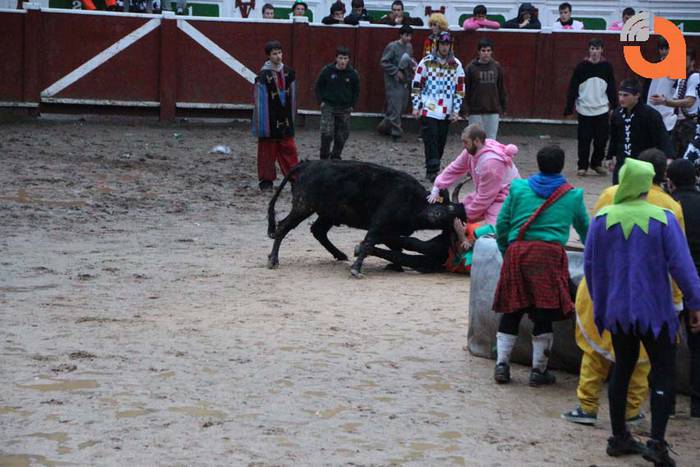 Pattar zezena 2015 27 1424193250694