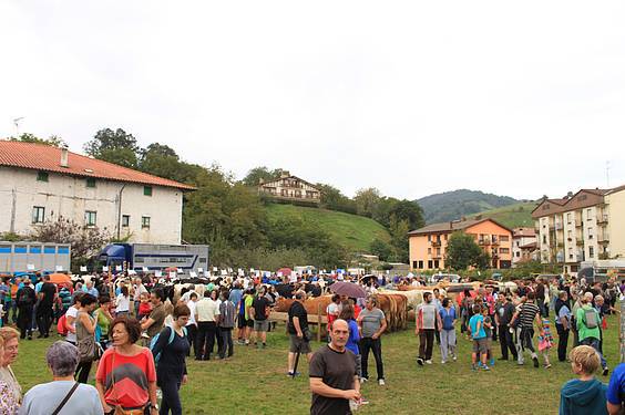 Asteasuko azoka 2 1412006666650