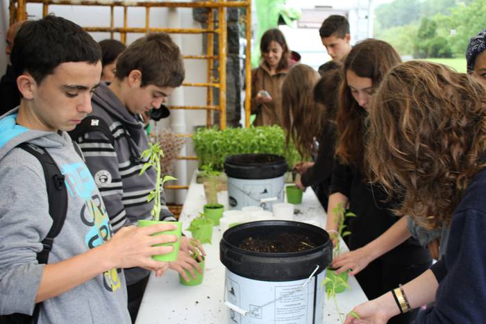 ibarrako piparra landaketa 2015 19 1431692634187