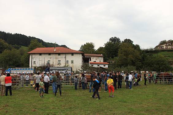 Asteasuko azoka 7 1412006669883