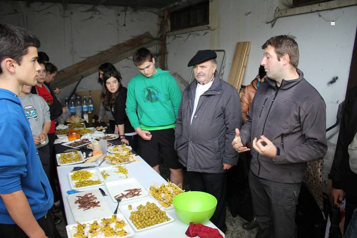 ibarrako piparra landaketa 2015 25 1431692642056