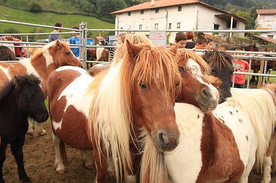 Asteasuko azoka 10 1412006671223