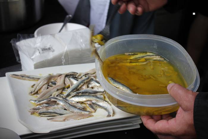 ibarrako piparra landaketa 2015 29 1431692647640