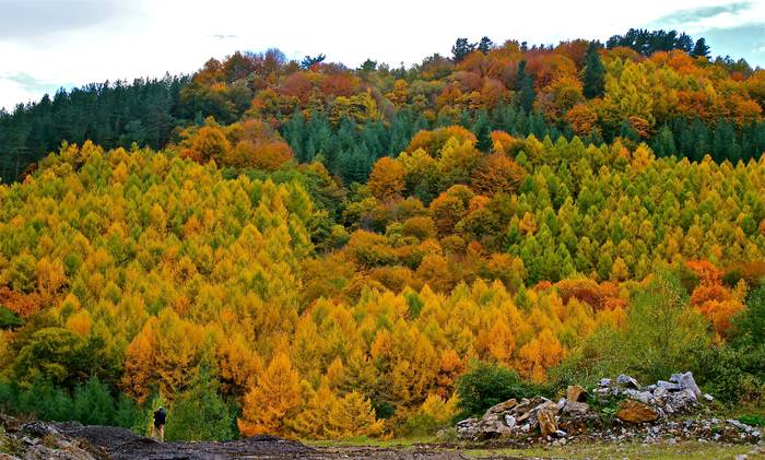 ASTEKO ARGAZKIA: Udazkena