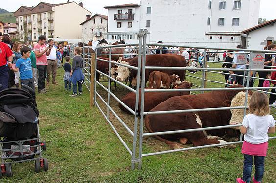 Asteasuko azoka 13 1412006673526