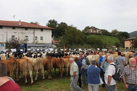 Asteasuko azoka 14 1412006674235