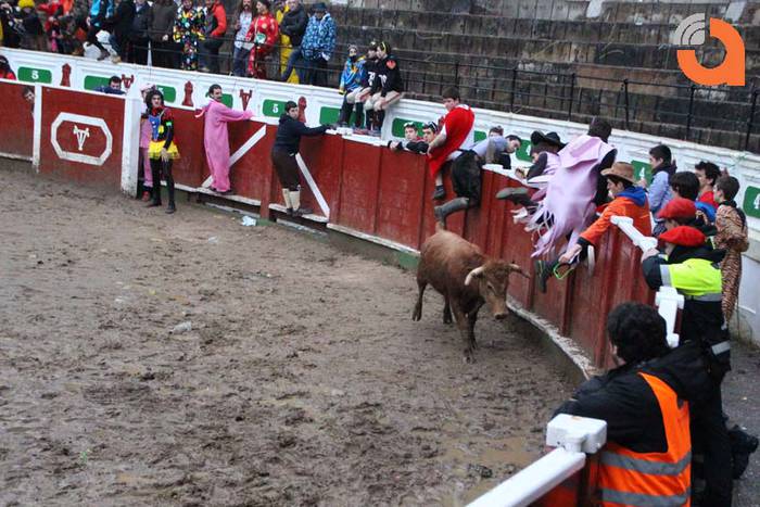 Pattar zezena 2015 29 1424193253271