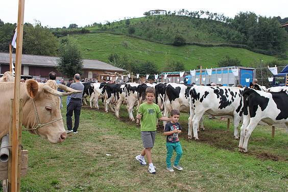 Asteasuko azoka 15 1412006675239