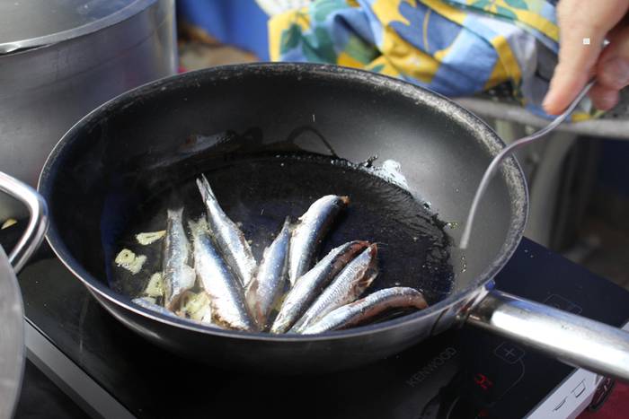 ibarrako piparra landaketa 2015 39 1431692660262