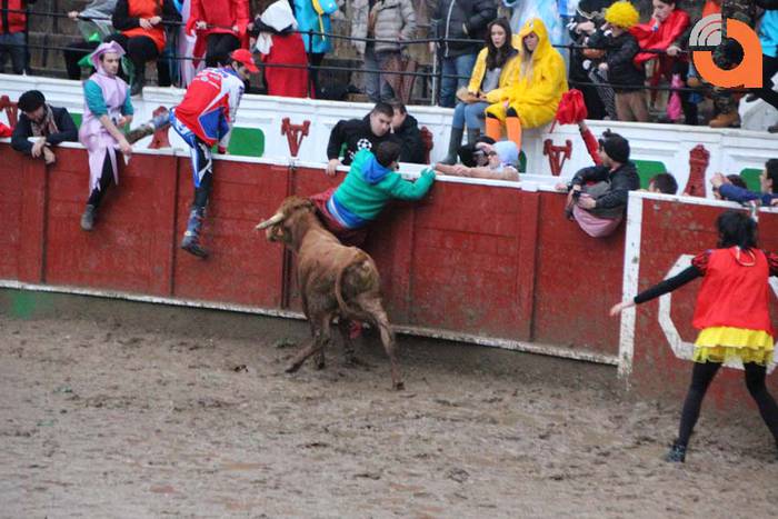 Pattar zezena 2015 30 1424193254740