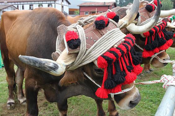 Asteasuko azoka 16 1412006676074