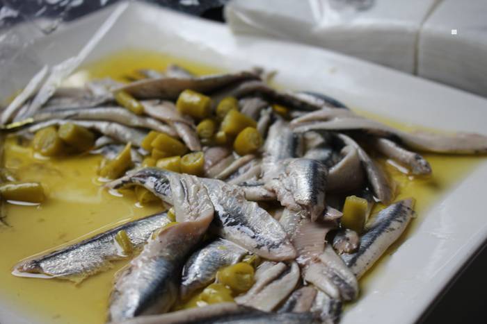 ibarrako piparra landaketa 2015 41 1431692662295