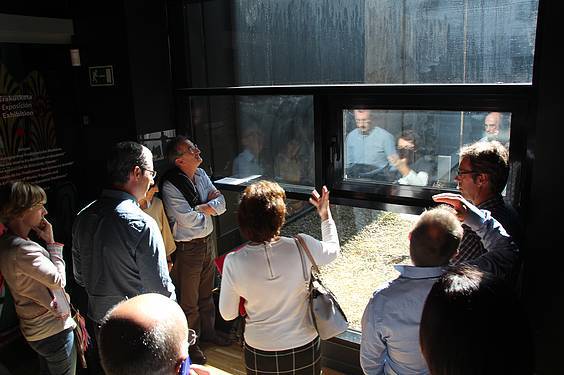 Markel-Olano-Tolosan 10 1414688857685