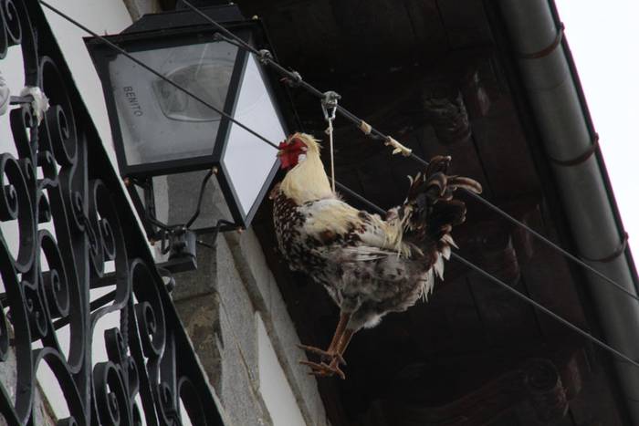 Orexa jaiak 2015 8 1430582788623