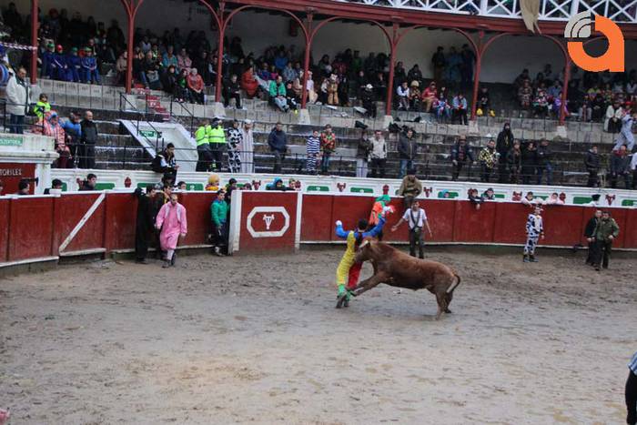 Pattar zezena 2015 31 1424193255928