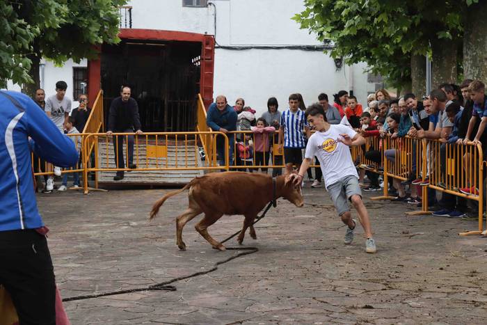 Zezen txikien aurretik 16 1656263617686