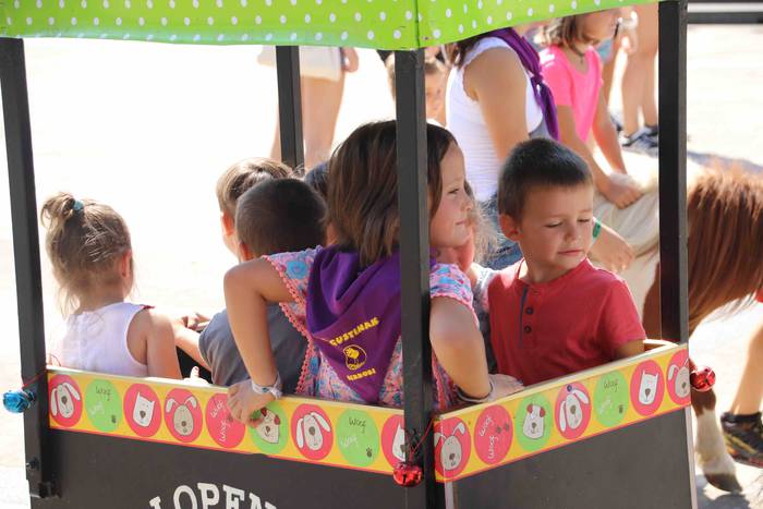 Festak hasteko, poniak eta z 36 1566993992221