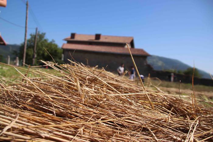 Garia bildu dute ogia egitek 6 1532421796128