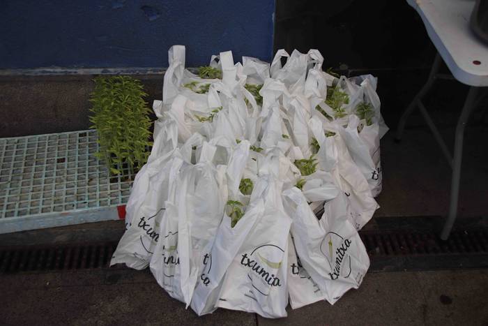 Bidetxur Mendi Taldea ibilal 5 1625321330369