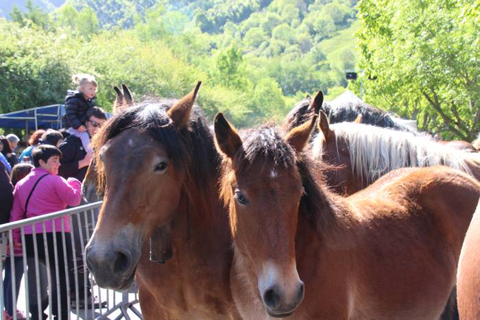 Larre irekiera Larraitzen 20 14 1493639747050