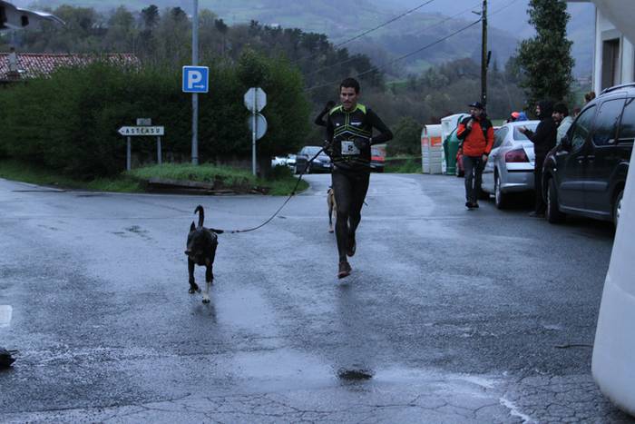 Zizurkil, txakur krosa 35 1490474004181