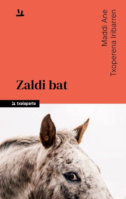 'Zaldi bat' liburu aurkezpena