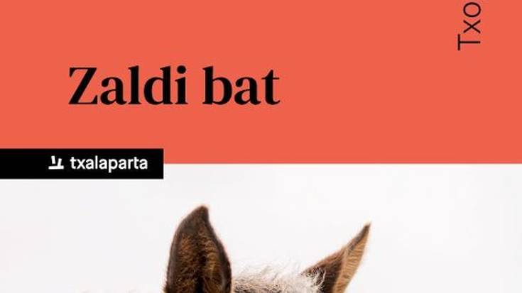 'Zaldi bat' liburu aurkezpena