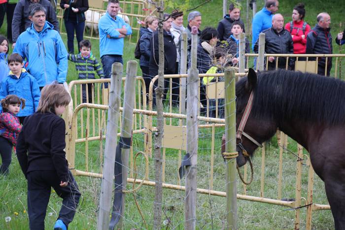 Aralarko larre irekiera 39 1462122136117