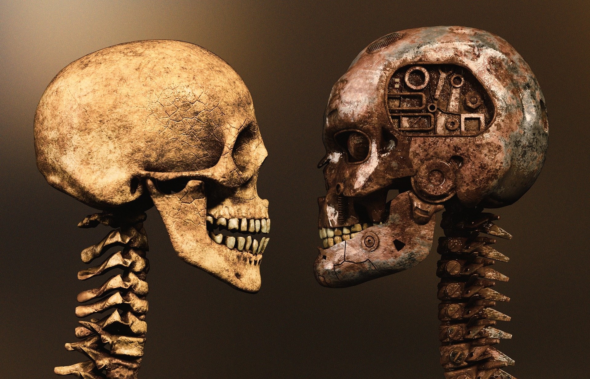 Sapiens eta Neanderthalensis artean