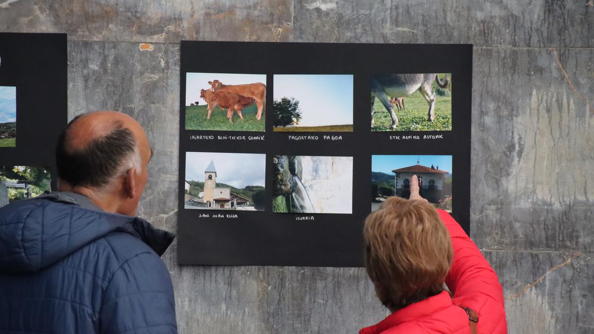 Asteazkena izango da Belauntzako argazki lehiaketan izena emateko azken eguna