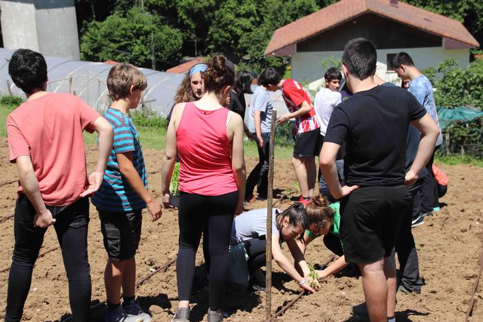 Erein dituzte lehen piperrak 7 1559303459878