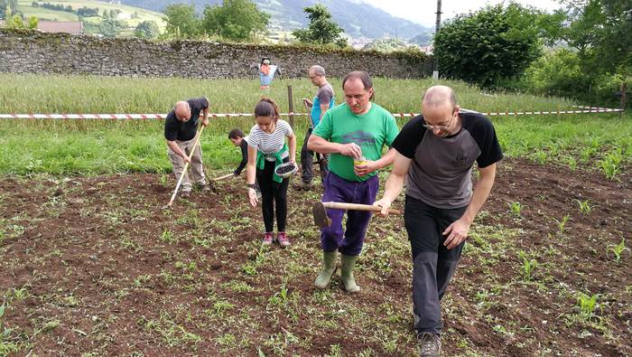 Adunan erein dute artoa eta  1 1528994202667