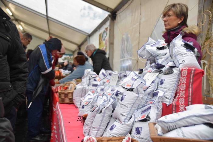 Sebar Garitziarenaren babarr 20 1573912534848