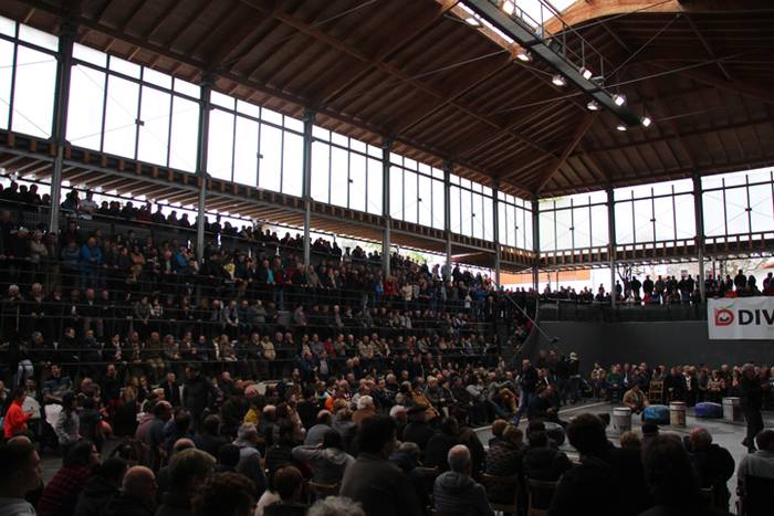 X. Gorostidi harria txapelketa 122 1461522222829